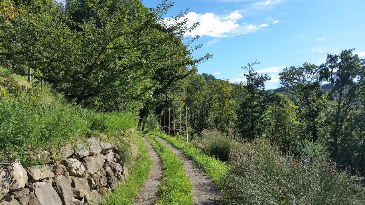Agriturismo San Genesio Rovagnate Bagian luar foto